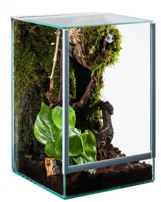 Me Top-Glas Terra Spider Terrarium