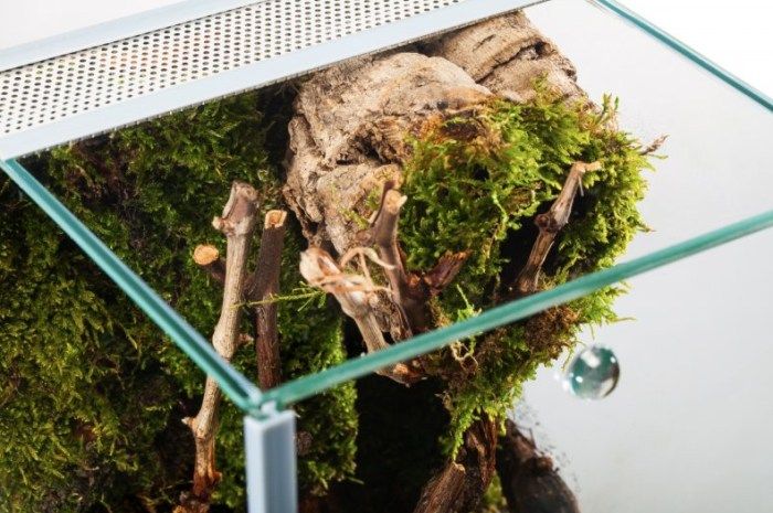 Me Top-Glas Terra Spider Terrarium