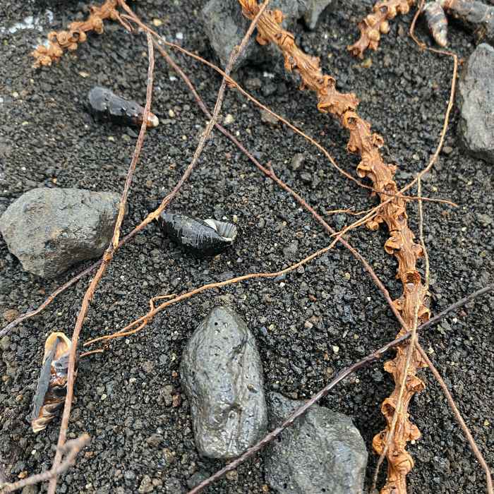 Me Nature World Habitat Volcano (2,8kg)