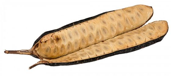 Bean Leitosa ca. 15cm