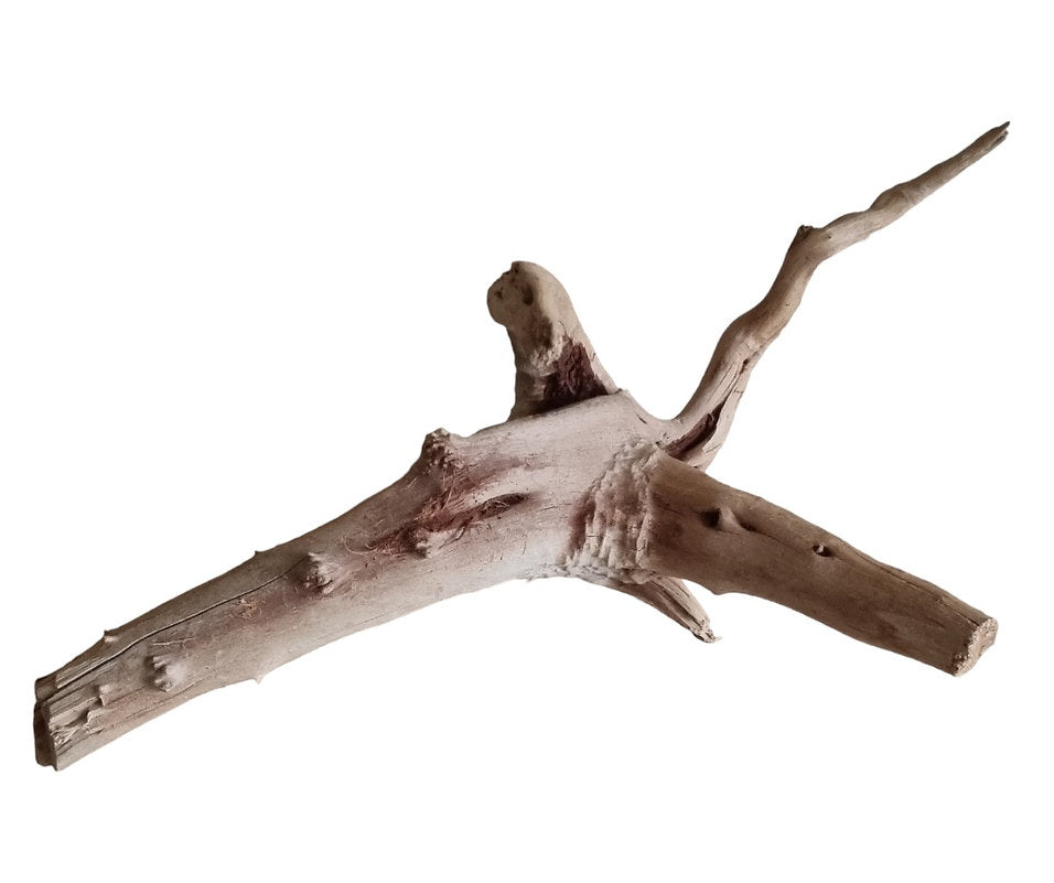 WIO Tree Trunk Wood Wurzel 299