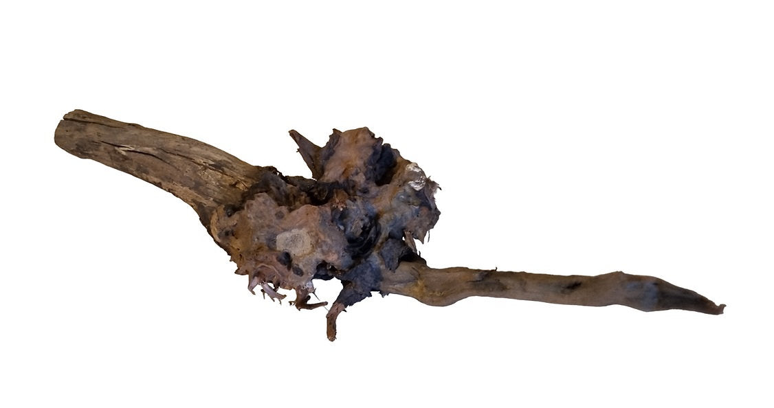 Driftwood / Flusswurzel Nr. 246