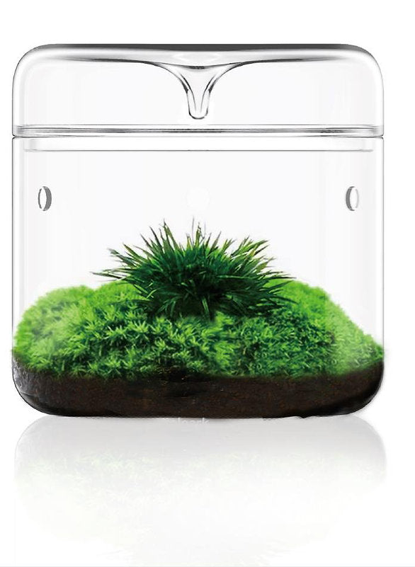 Bioloark Luji Glass Cup