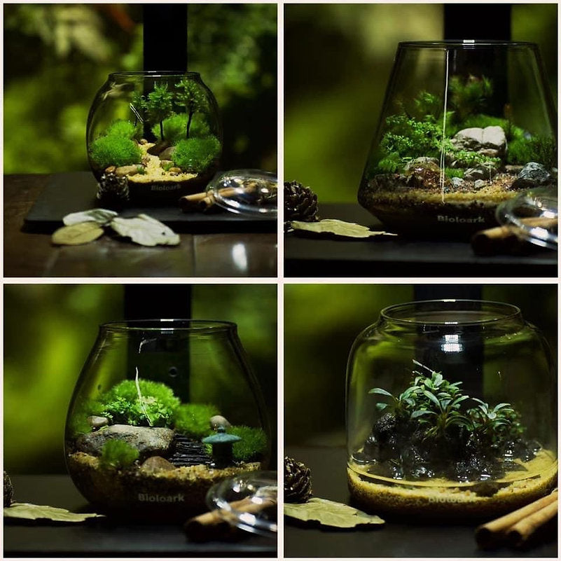 Bioloark Bubble Cup ( verschiedene Modelle )
