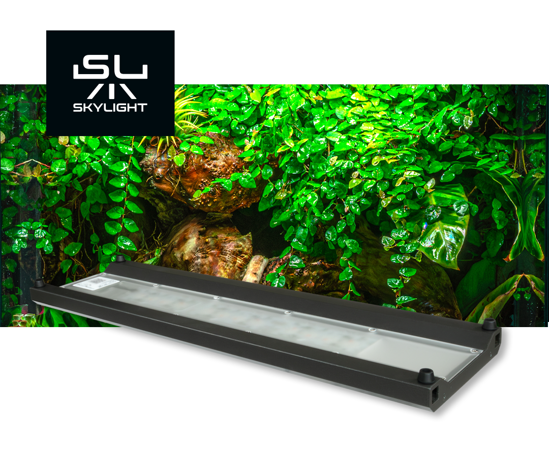 Skylight HYPERBAR T ( Terrariumversion)