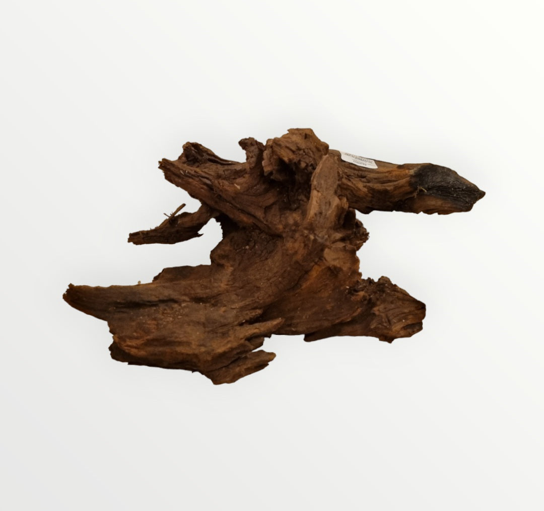 Driftwood / Flusswurzel Nr.218