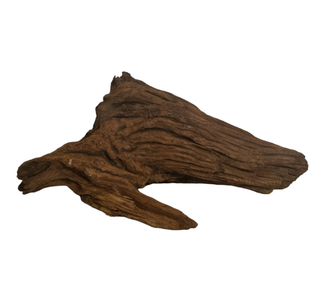 Driftwood / Flusswurzel Nr. 496
