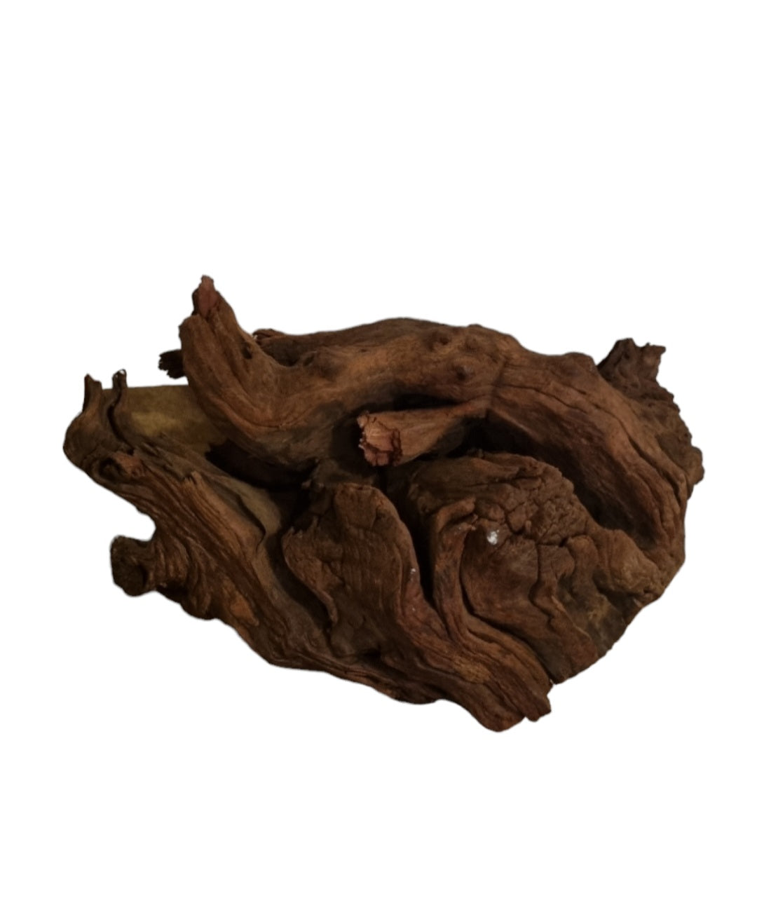 Driftwood / Flusswurzel Nr. 486