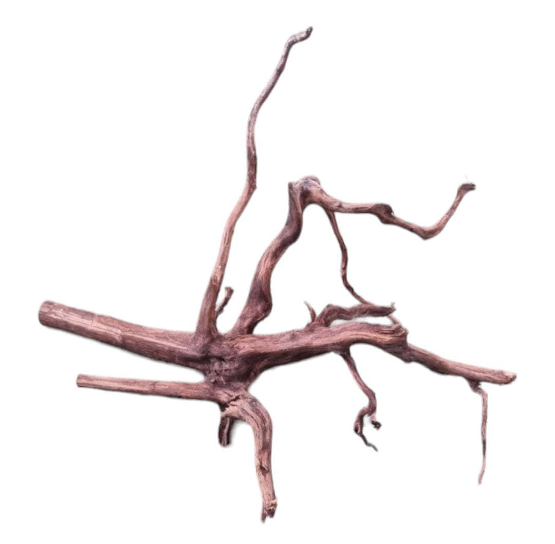 Dark Snake Wood Nr.592