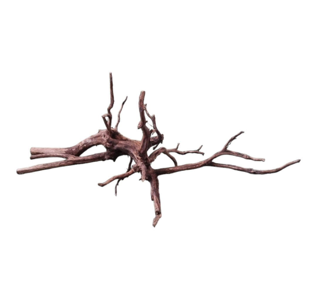 Dark Snake Wood Nr.589