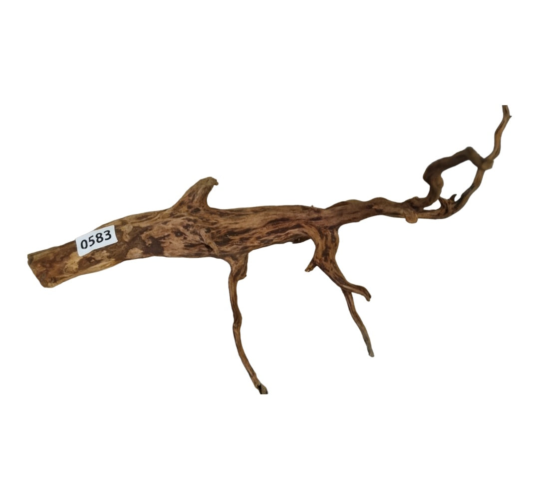 Dark Snake Wood Nr.583