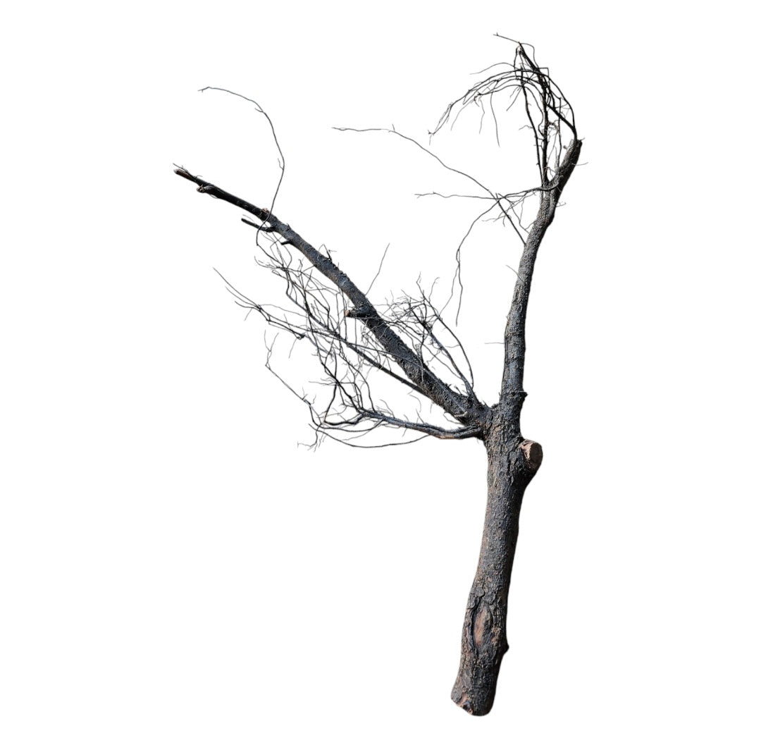 Shadow Wood Nr.804