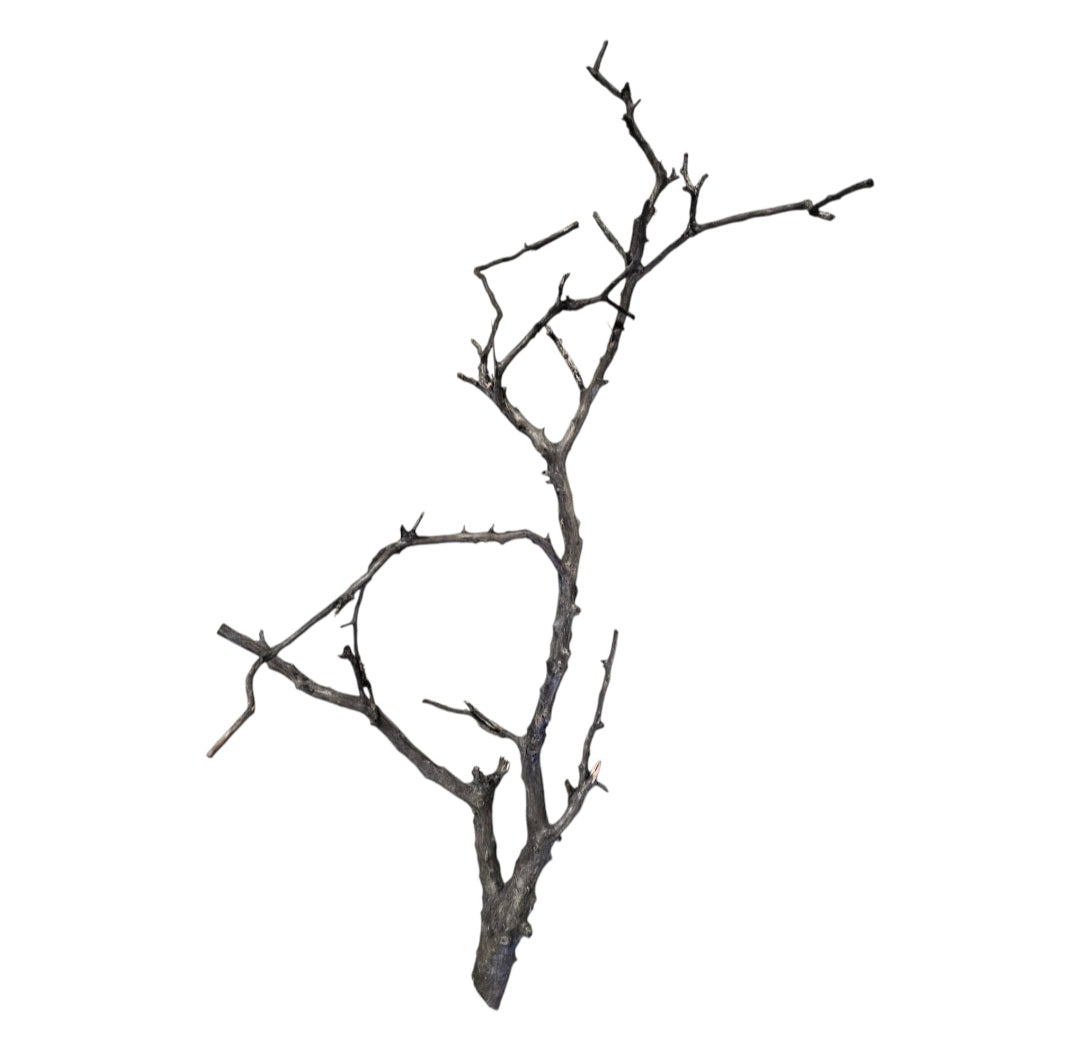Octopus Wood Nr. 821