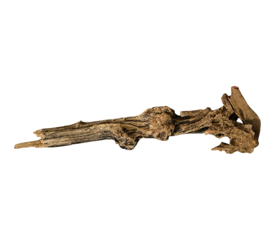 Coral Sinker Wood Nr.608