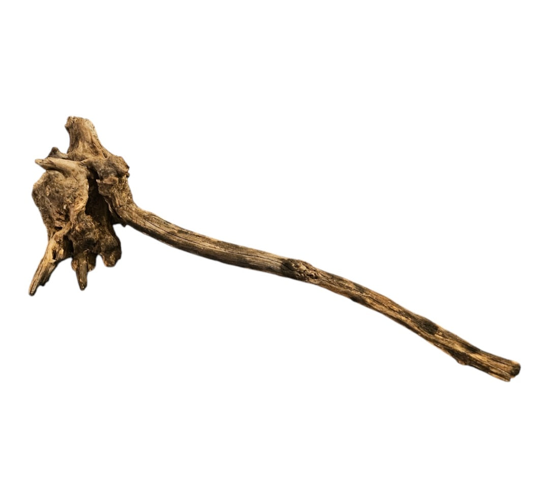 Coral Sinker Wood Nr.611