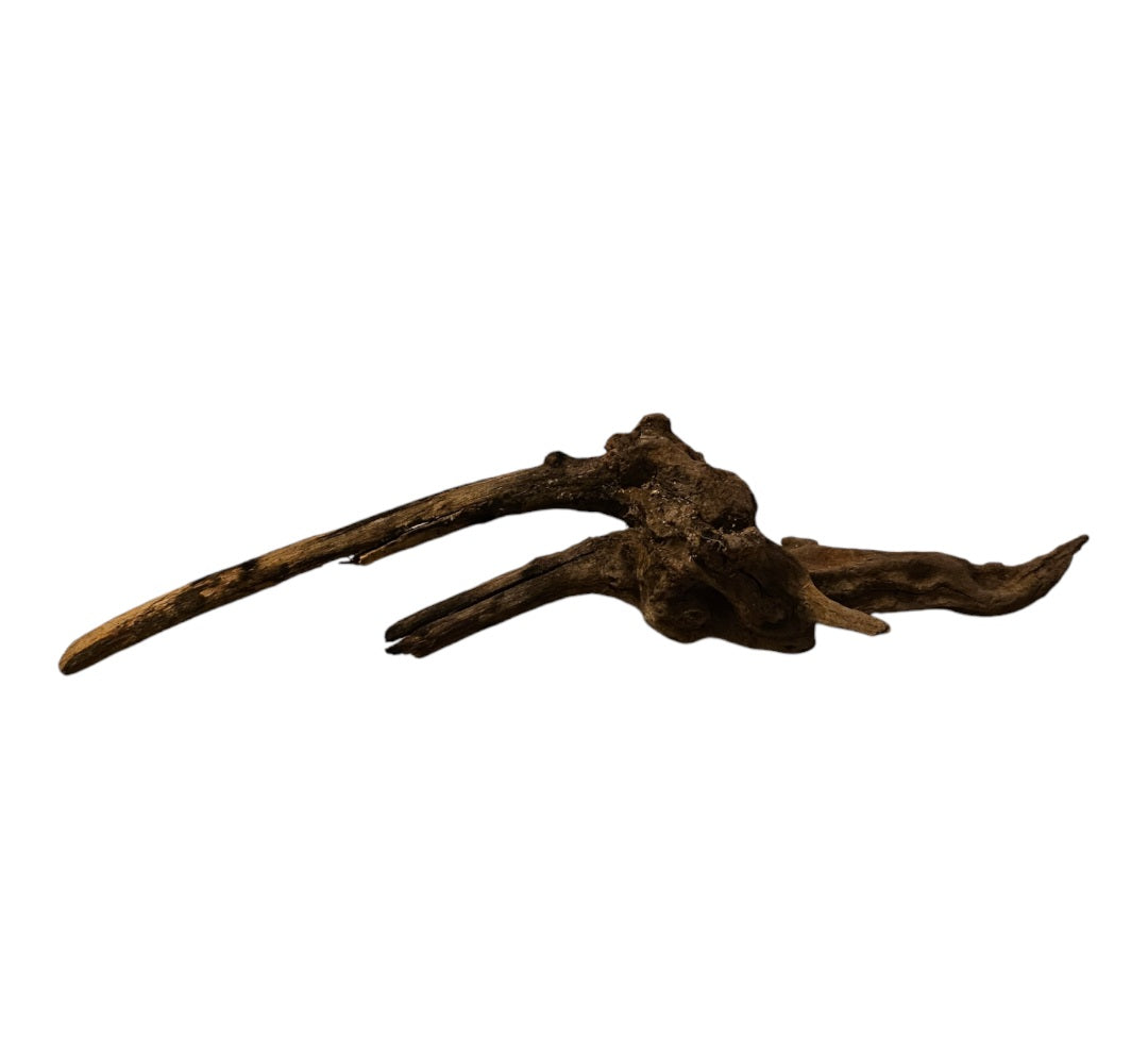 Coral Sinker Wood Nr.635