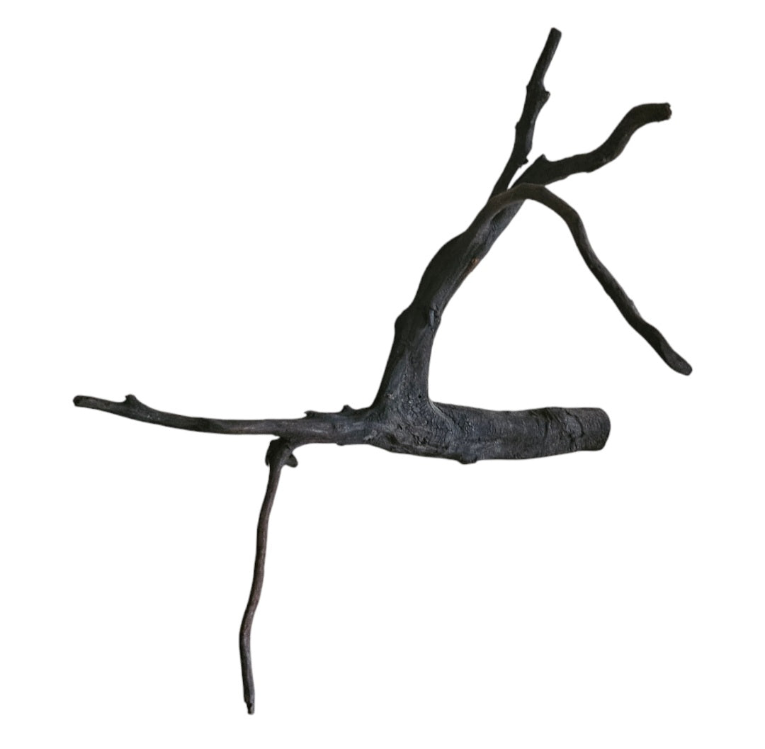Black Root Nr.741
