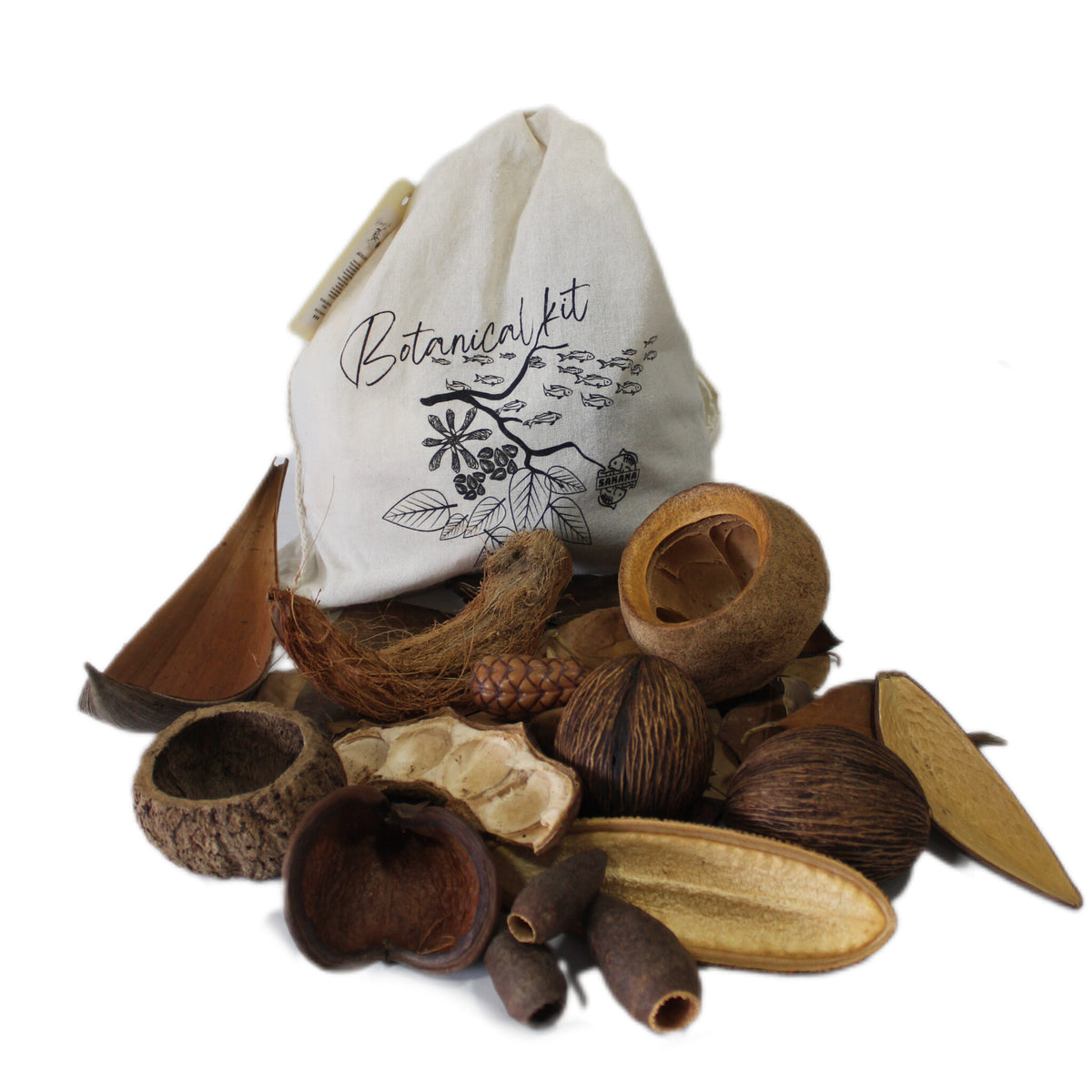 Ein Jutesack mit dem Aufdruck "Botanical Kit" liegt auf einem weißen Hintergrund. Aus dem Sack herausrieseln verschiedene Samen, Früchte, Schalen und andere natürliche Materialien. Die Farben reichen von Braun über Beige bis hin zu Schwarz. Die Objekte haben unterschiedliche Größen und Formen.