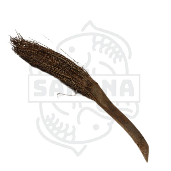 Das Bild zeigt ein Stück Mangrovenholz, das als "Broom Pod" bezeichnet wird und häufig in der Aquaristik als Dekoration verwendet wird.