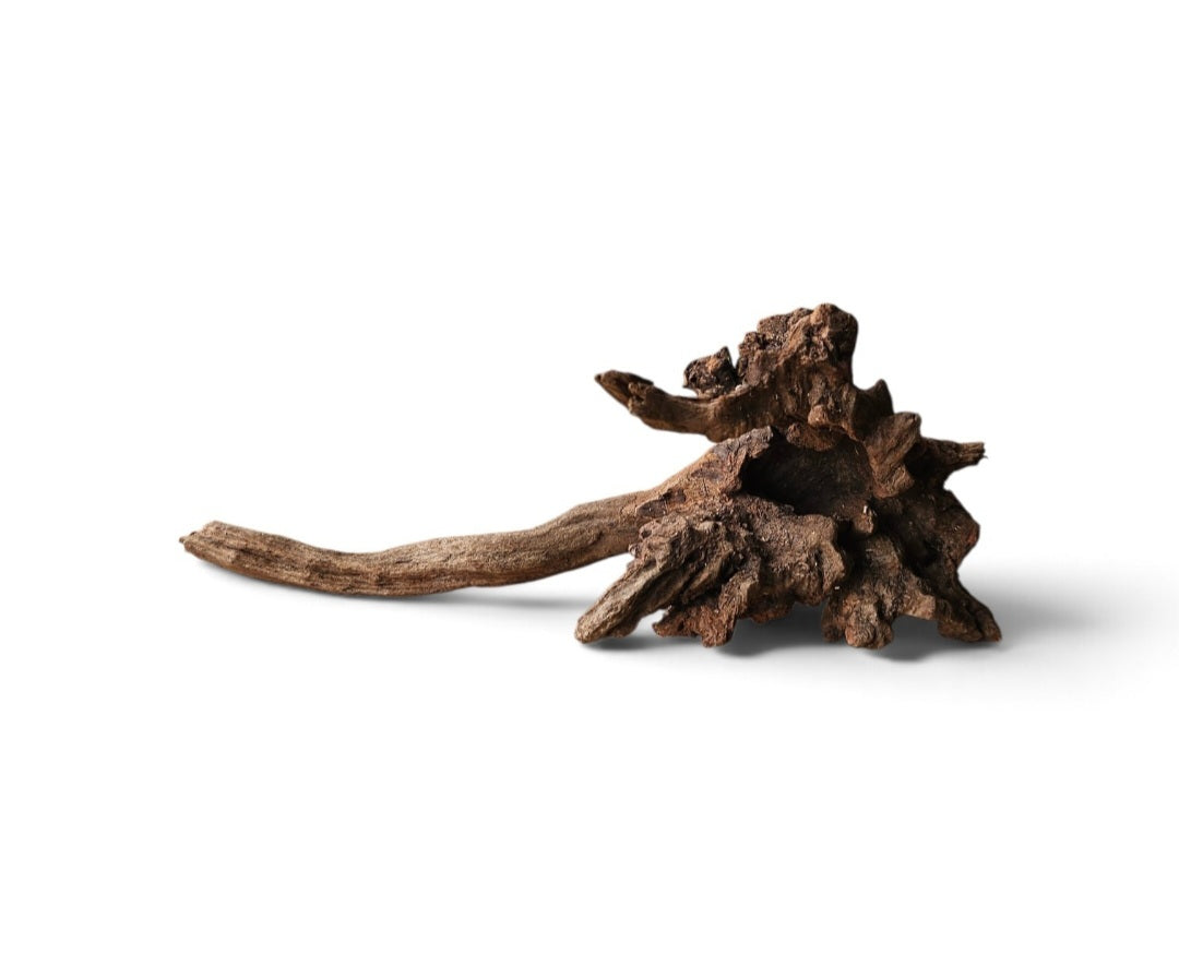 Coral Sinker Wood Nr. 118