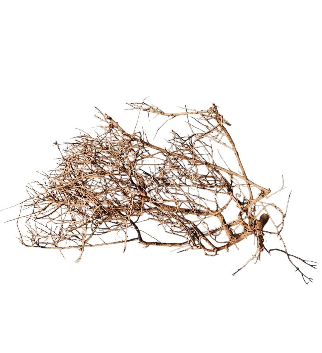 Small tree branches Nr.663