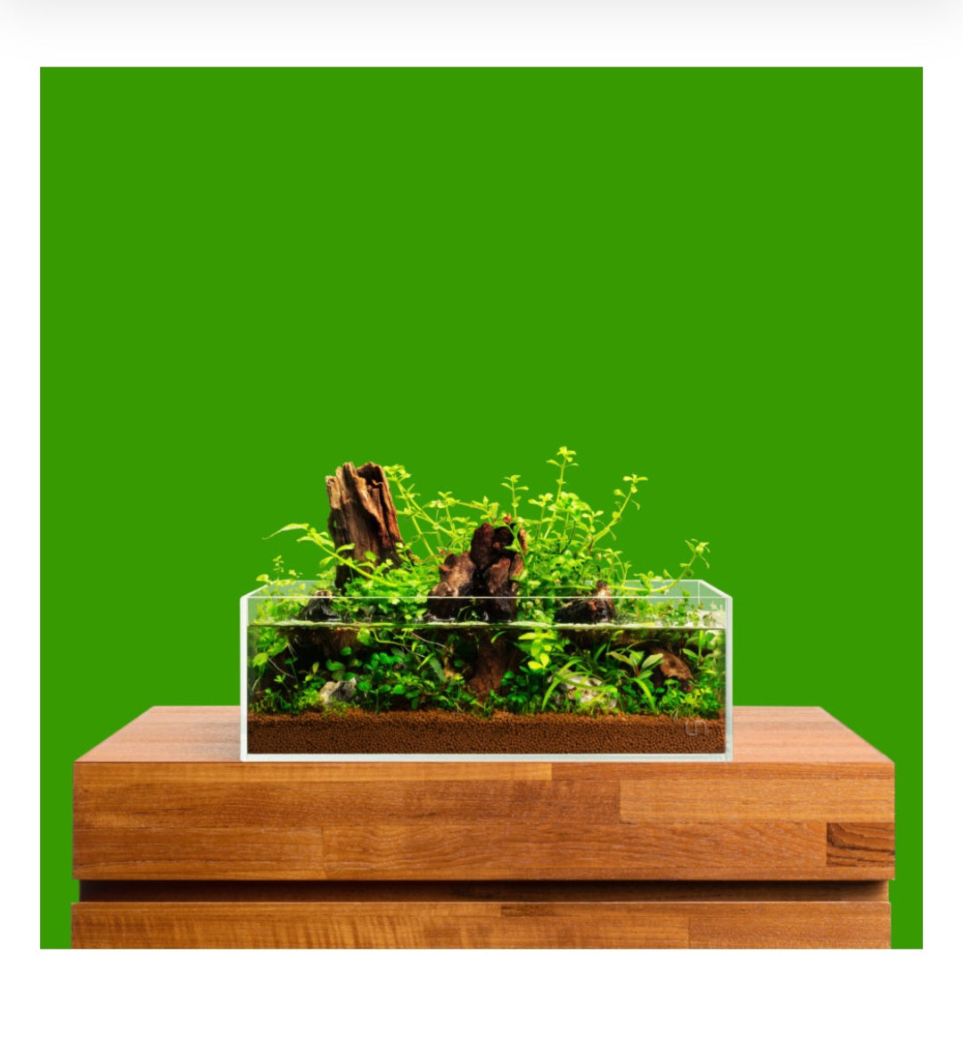 UNS Randlose Aquarien - Flach