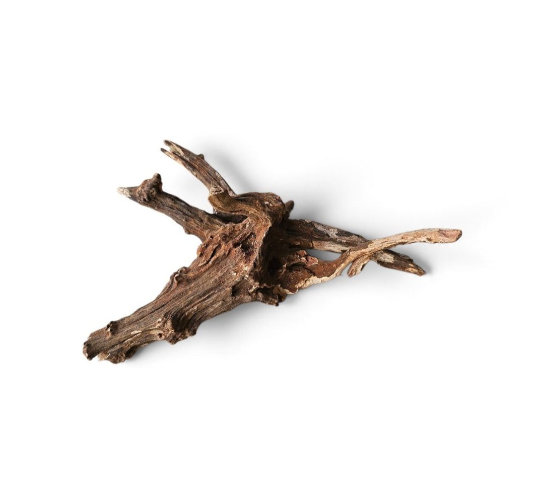 Coral Sinker Wood Nr. 190