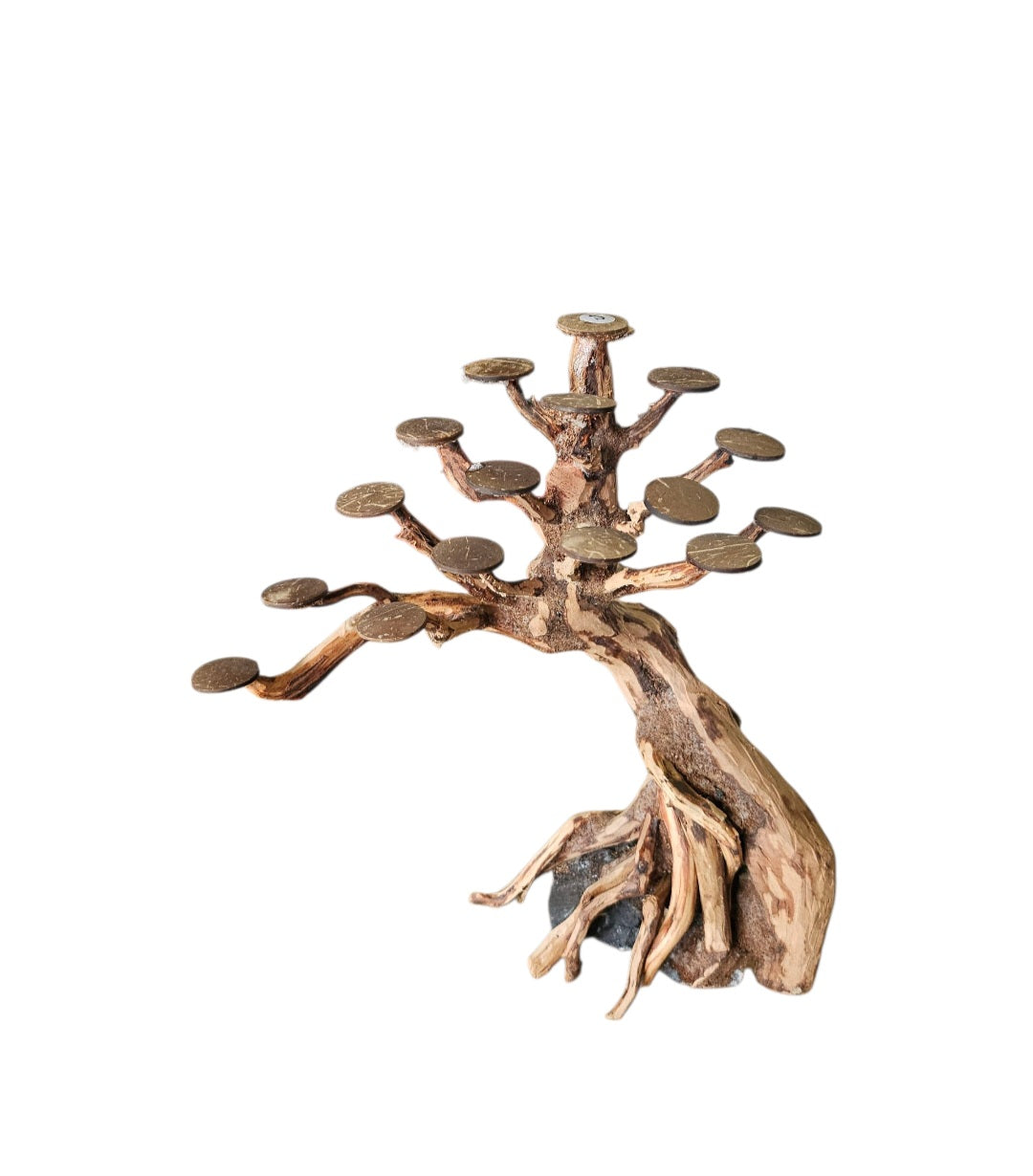Bonsai Rasamala