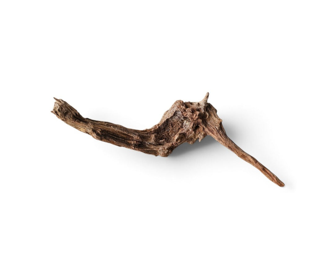 Coral Sinker Wood Nr. 179