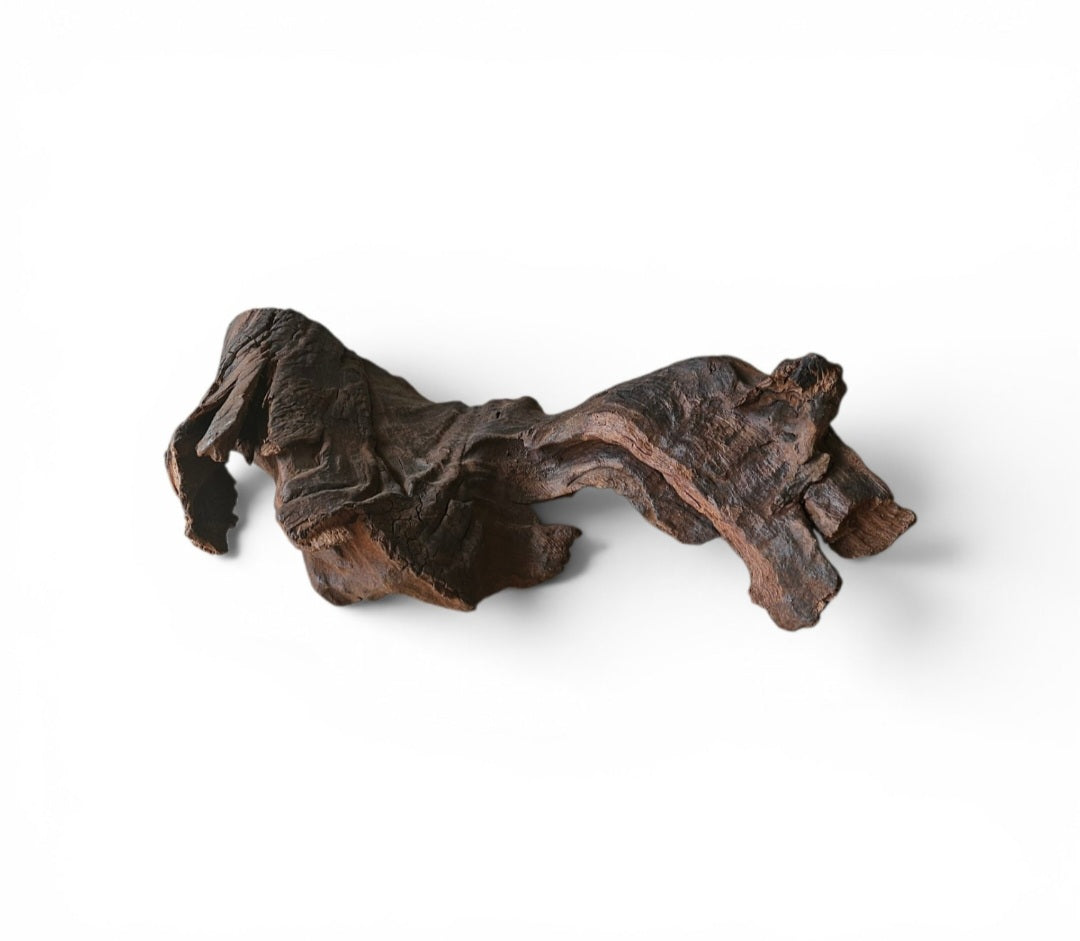Driftwood / Flusswurzel Nr. 257