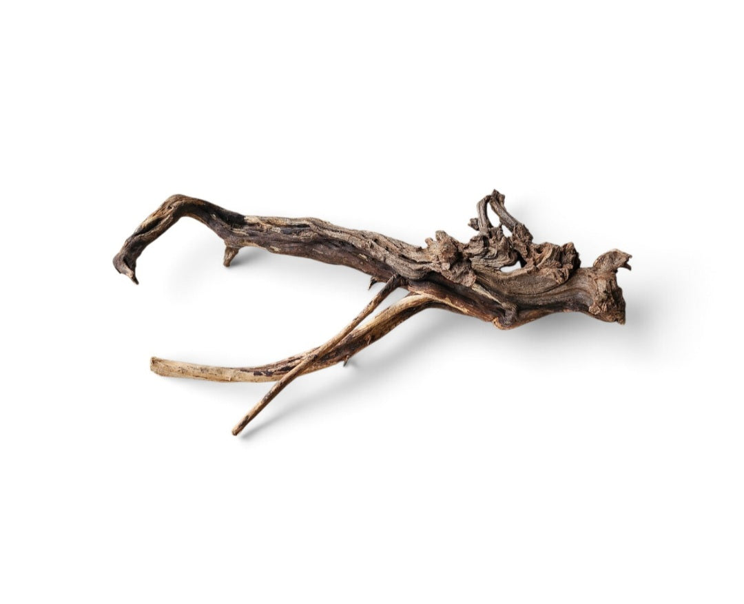 Coral Sinker Wood Nr. 109