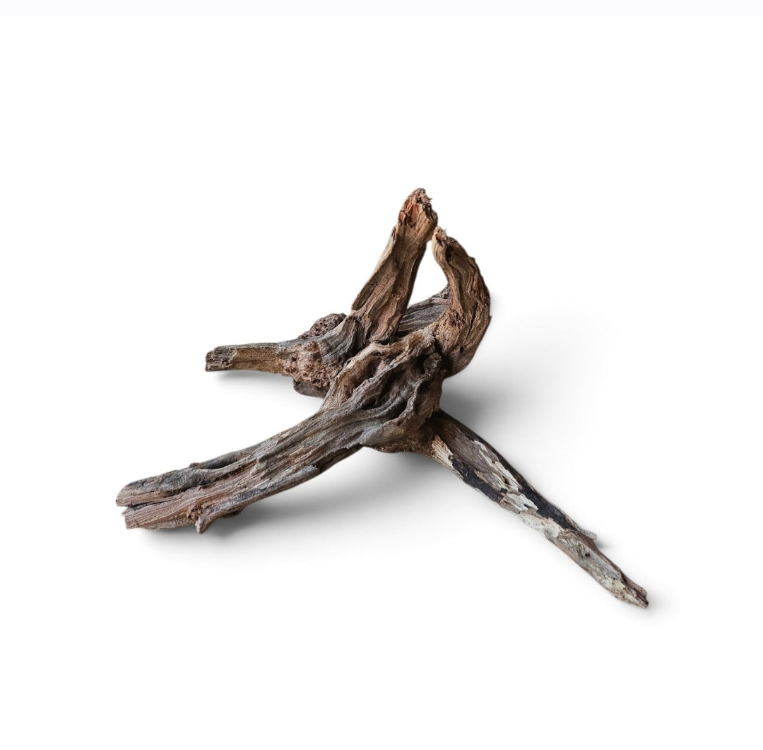 Coral Sinker Wood Nr.626