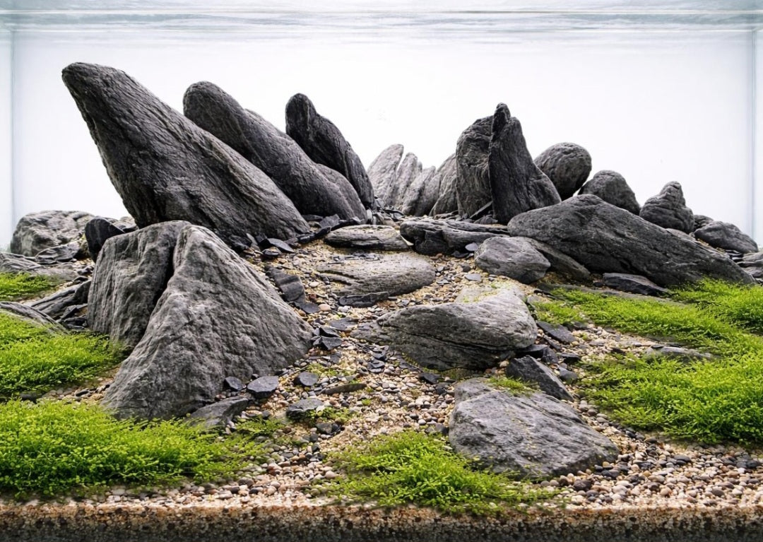 Wild Rhino Steine / Stones ( Stück - verschiedene Größen )