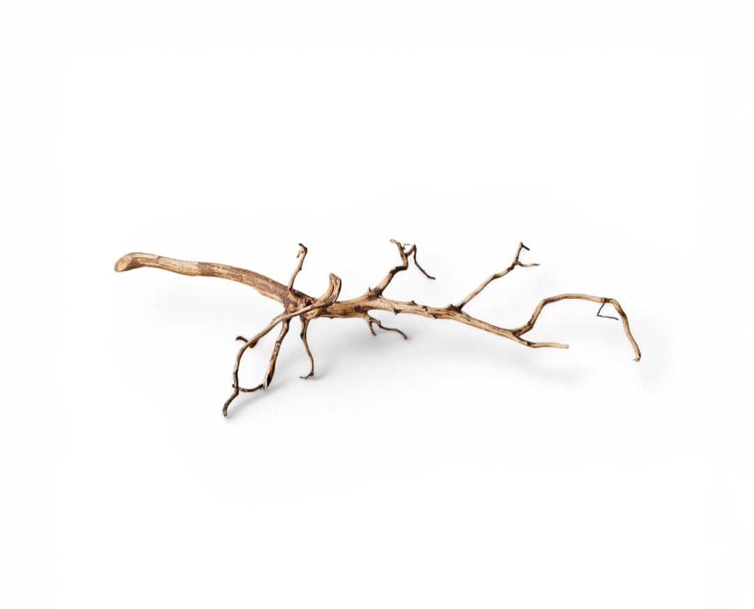 Dark Snake Wood Nr.595