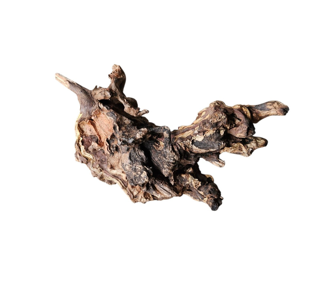 Coral Sinker Wood Nr.620