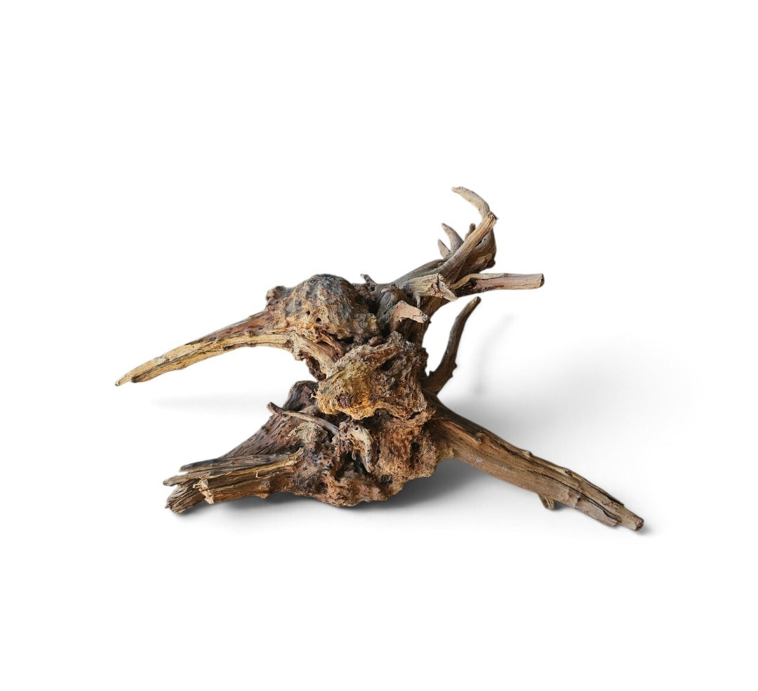 Coral Sinker Wood Nr. 897