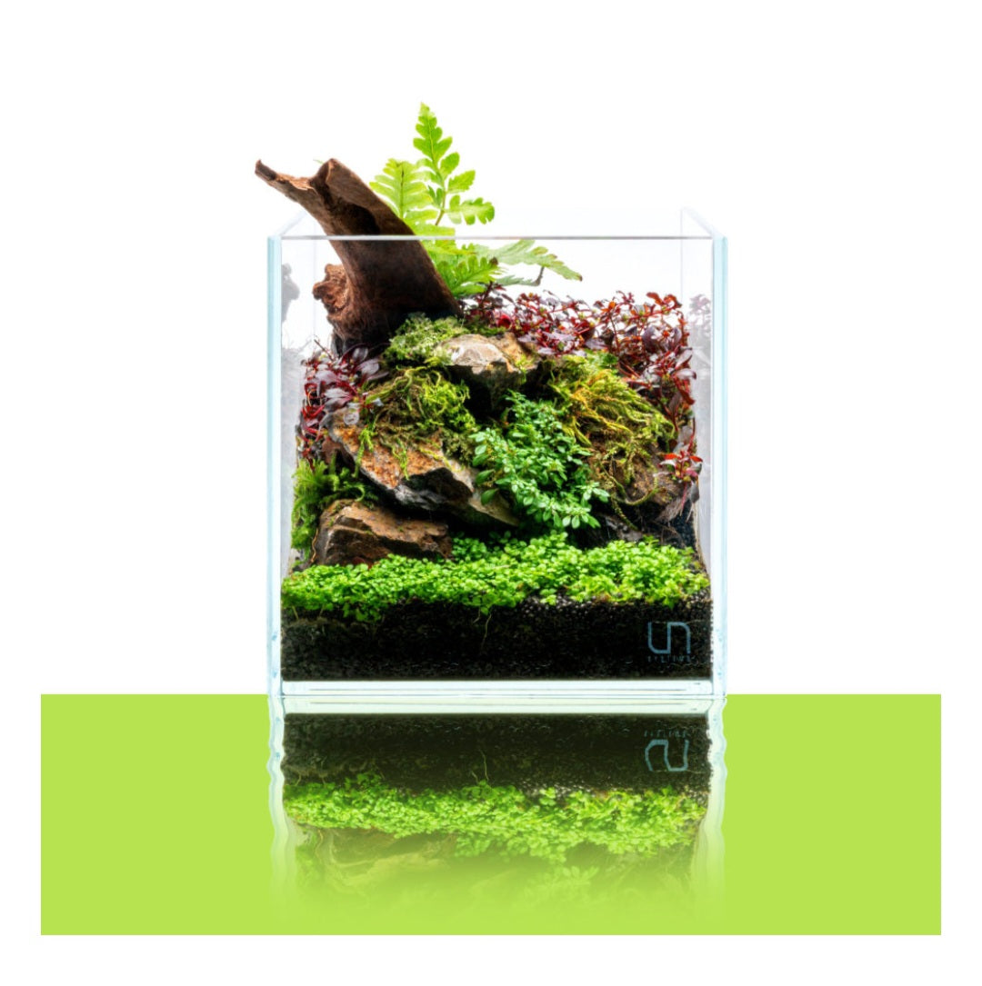 UNS Aquarium Cube (verschiedene Größen)