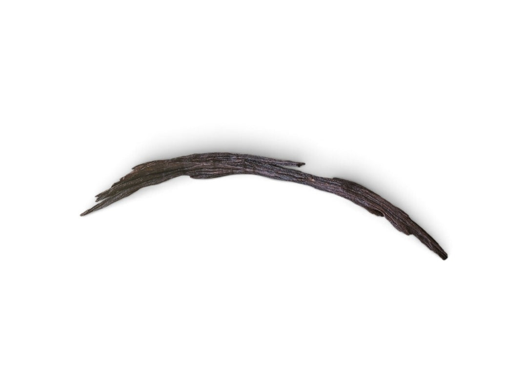 Driftwood / Flusswurzel Nr. 61