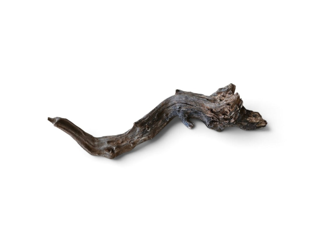 Coral Sinker Wood Nr.627