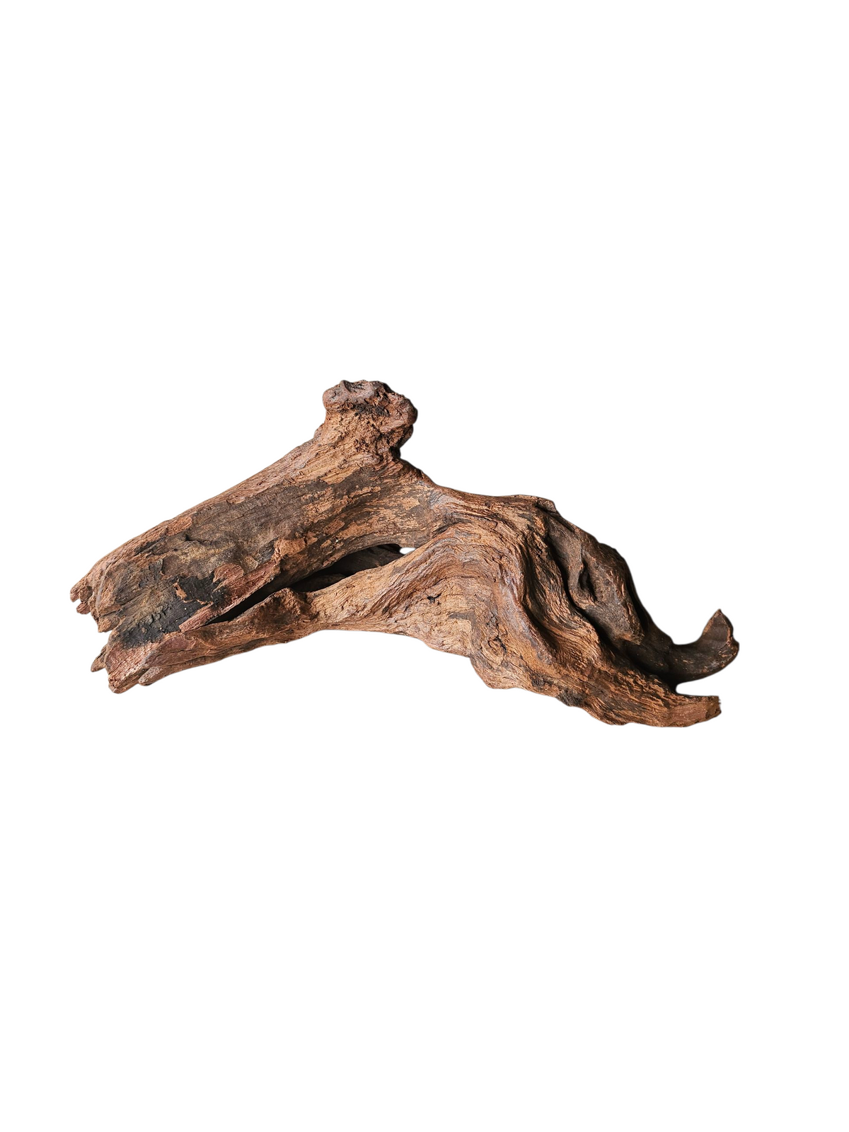 Driftwood / Flusswurzel Nr.979