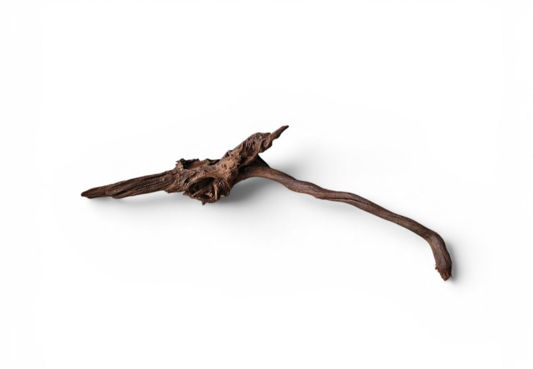 Driftwood / Flusswurzel Nr. 250