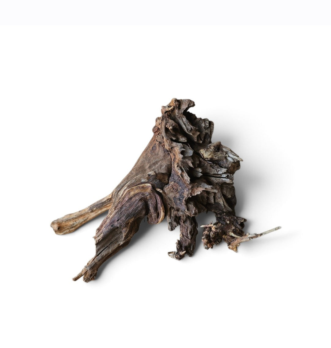 Coral Sinker Wood Nr.622
