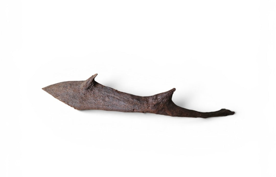 Driftwood / Flusswurzel Nr.793