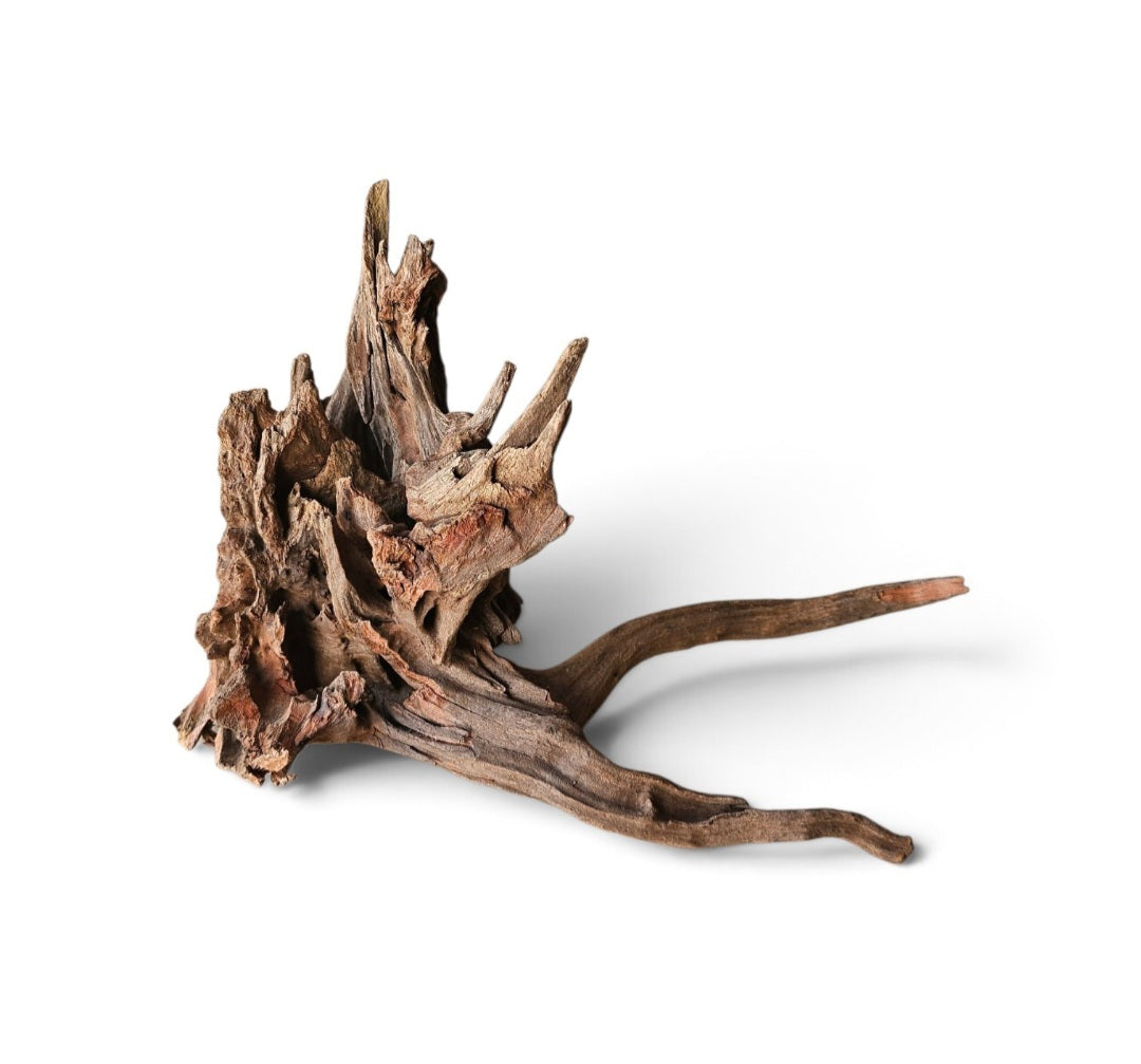 Coral Sinker Wood Nr. 139