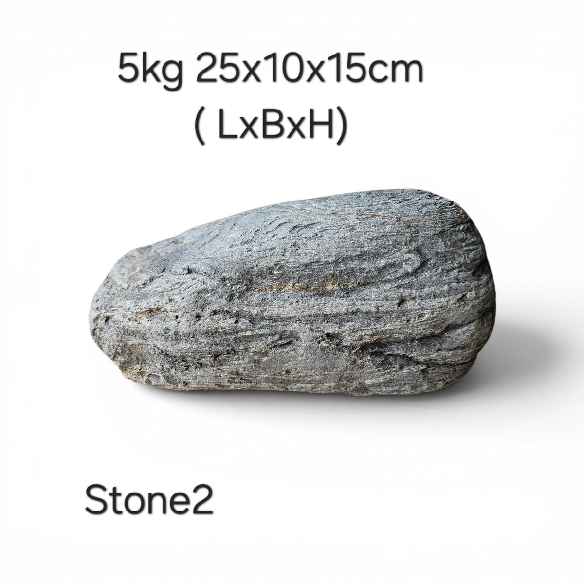 Wild Rhino Steine / Stones XL / Main Stones