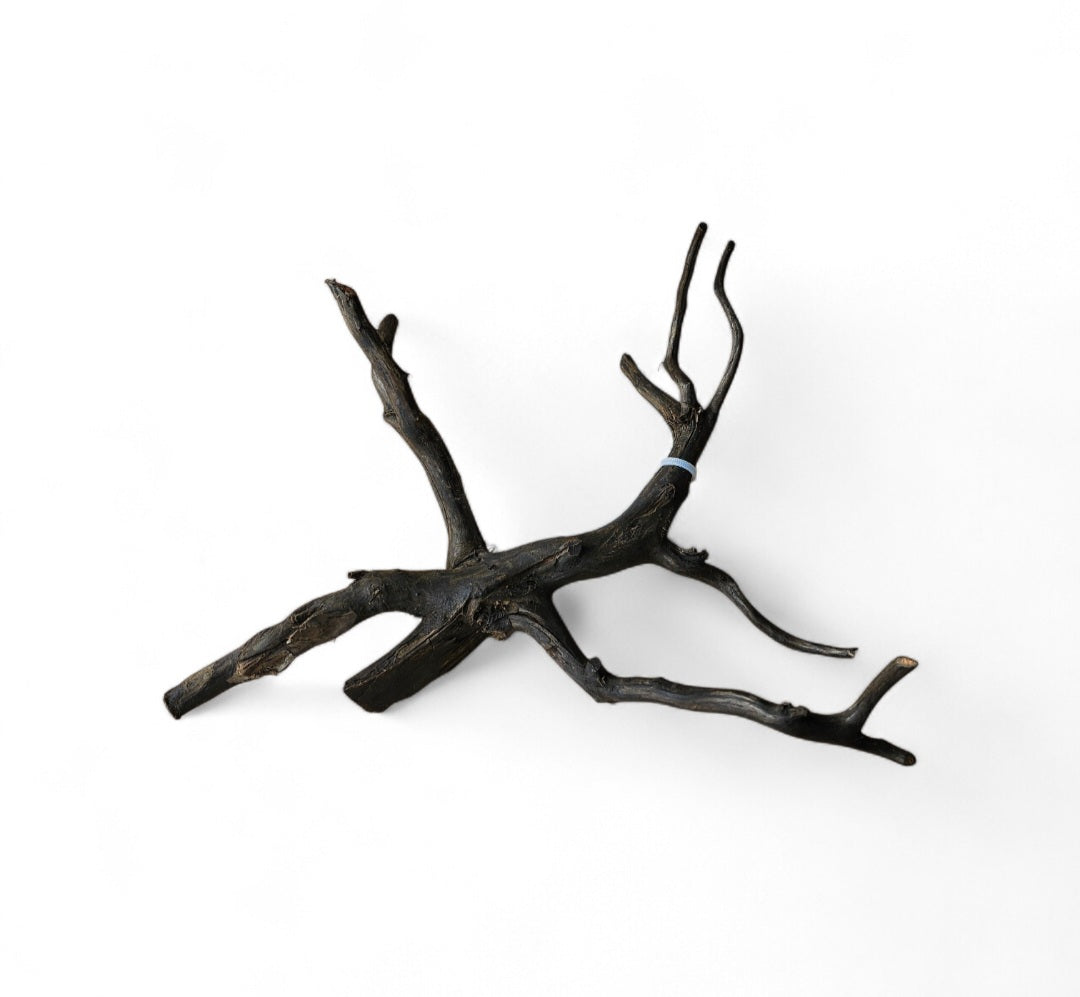Black Root Nr.462
