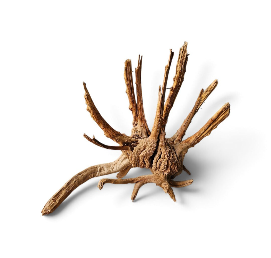 WIO Tree Trunk Wood Wurzel 292