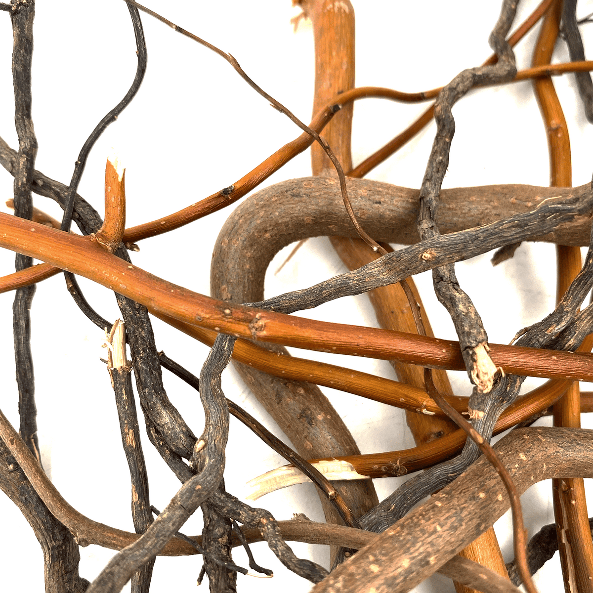 WIO ROOT MIX (Mix aus Amber,Elder,Mini und Twisted Roots)-140g, 10-40cm