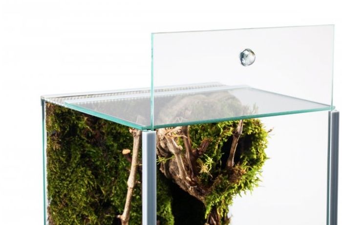 Me Top-Glas Terra Spider Terrarium