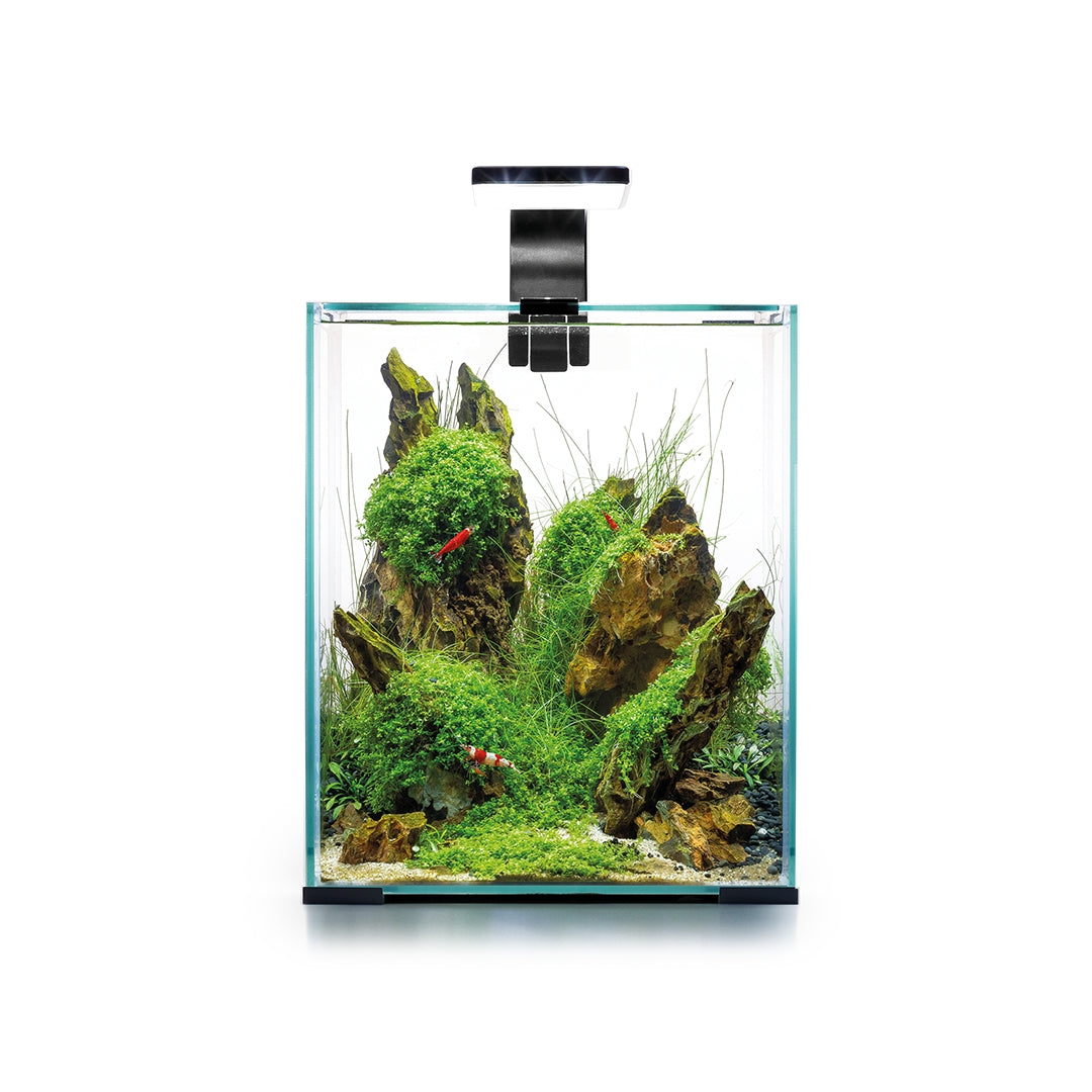 Aquael Shrimp Set Day & Night